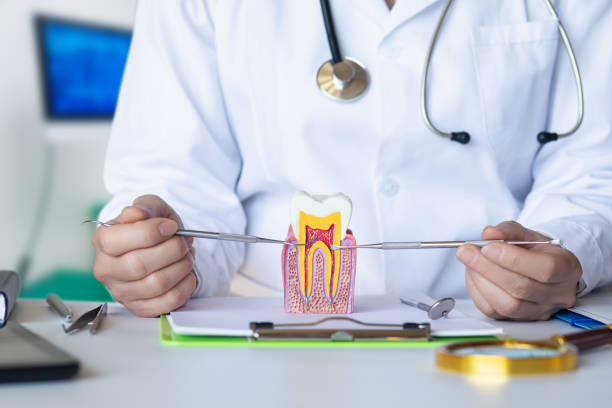 Best Emergency Gum Treatment in Sackets Harbor, NY